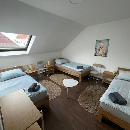 Casa Lauriacum - Cozy Up To 8 Guests Apartment
