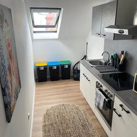 Casa Lauriacum - Cozy Up To 8 Guests Apartment Enns